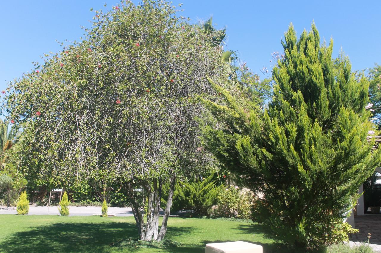 בופורט ווסט Garden Corner Guesthouse מראה חיצוני תמונה